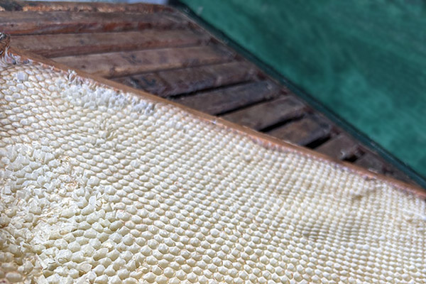 Bienenwaben und ein Bienenstock